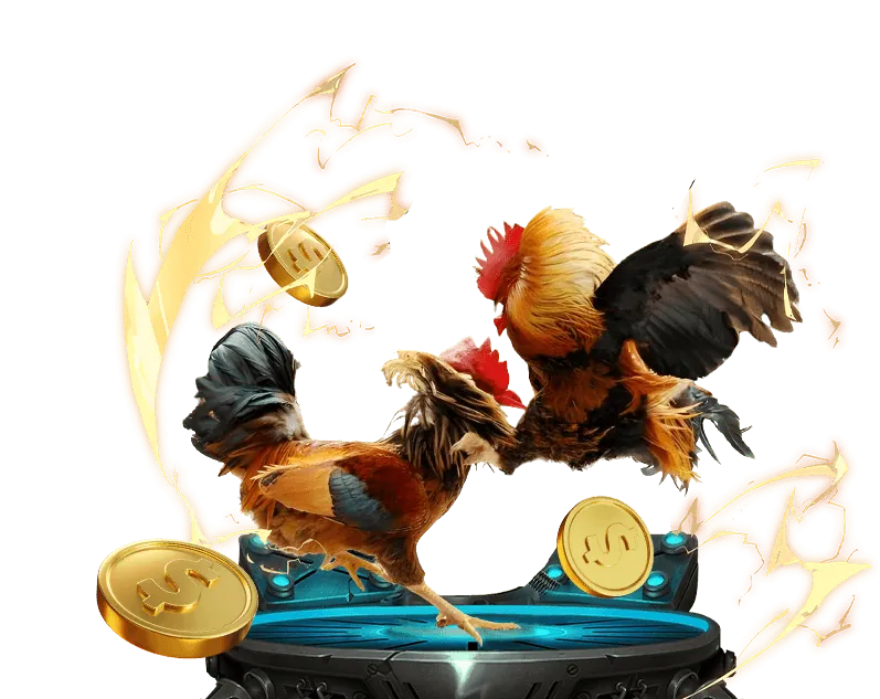 Giới thiệu về cam kết cờ bạc có trách nhiệm của say88 đăng nhập